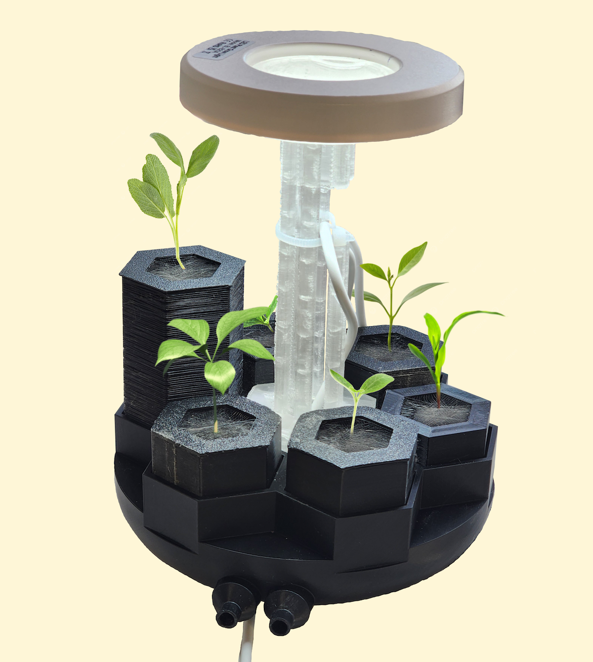 Hydroponic Mockup