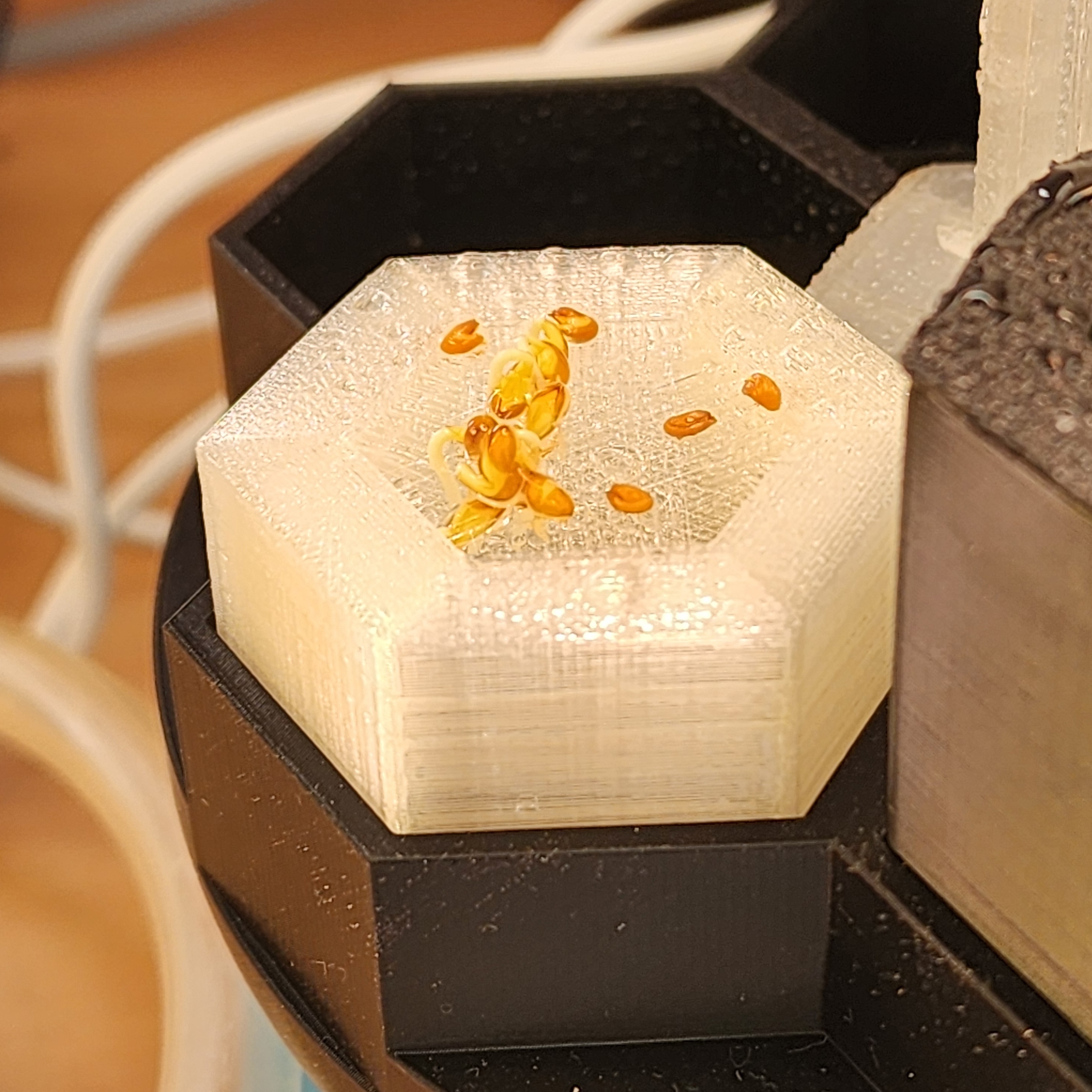 Smart Plant Prototype 1