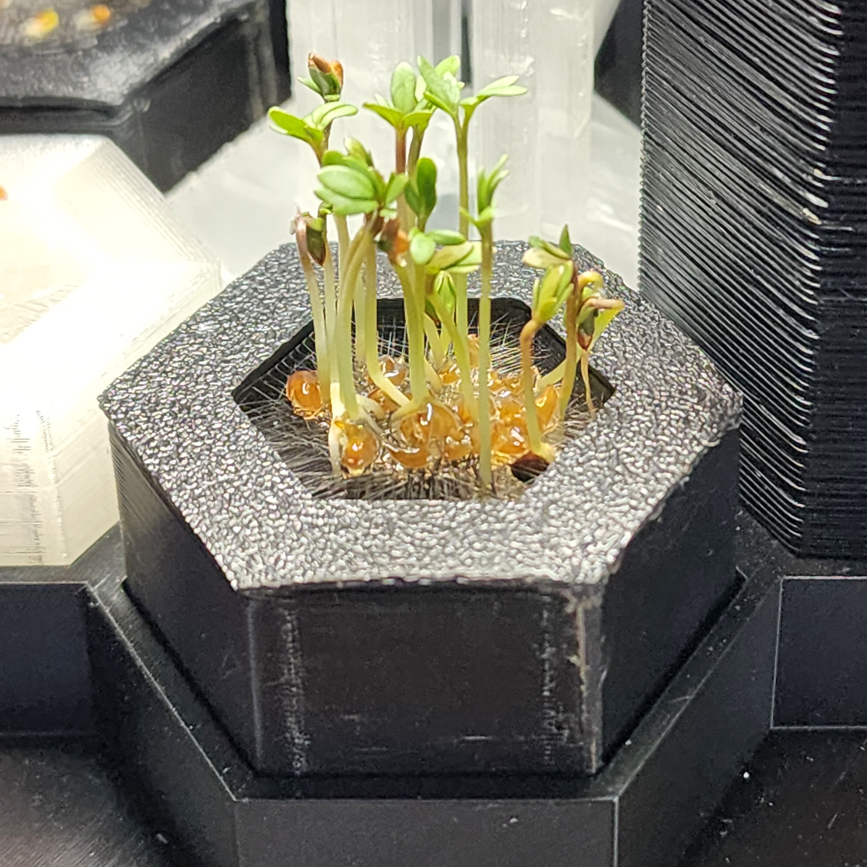 Smart Plant Prototype 2