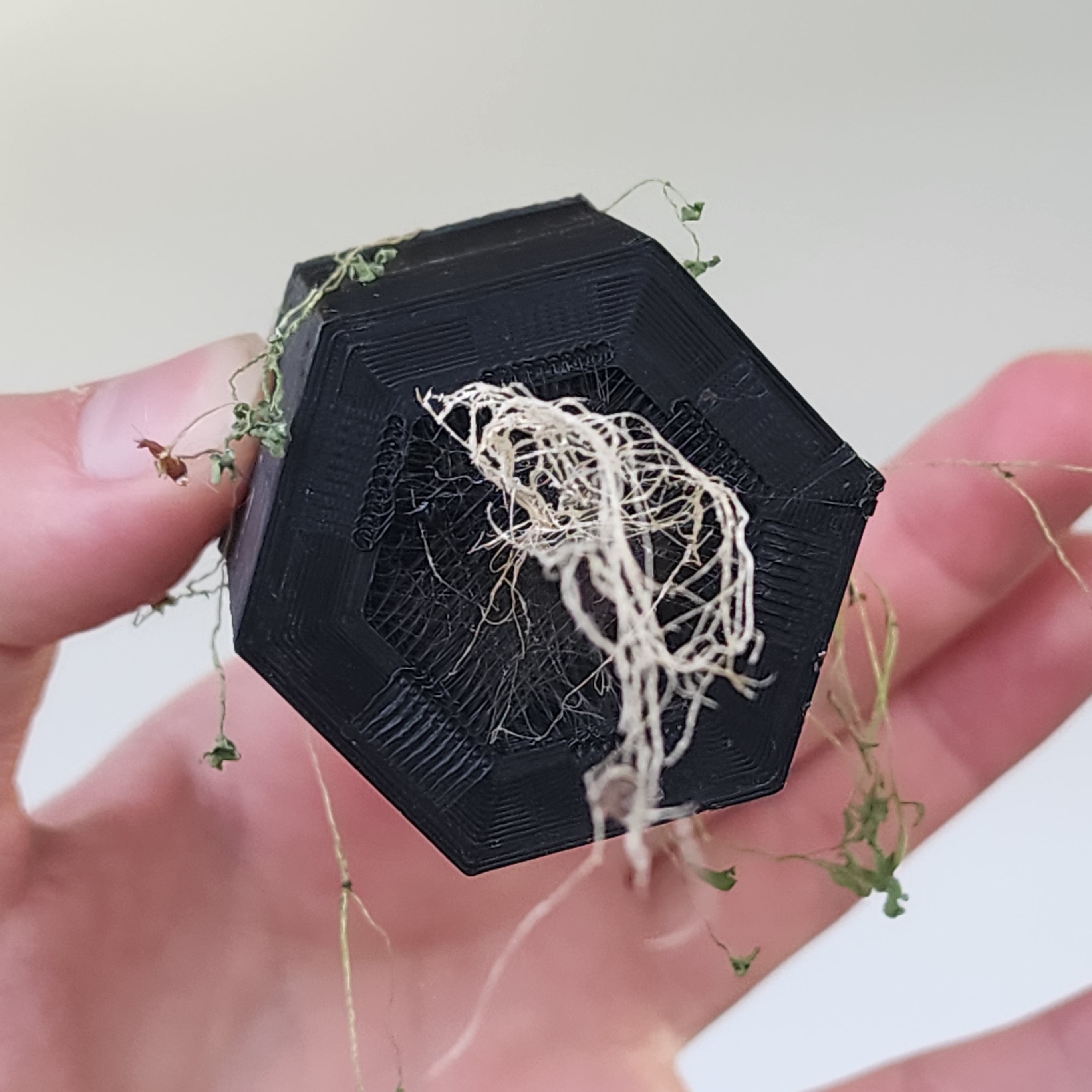 Smart Plant Prototype 3