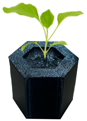 Smart Plant Foundations Logo